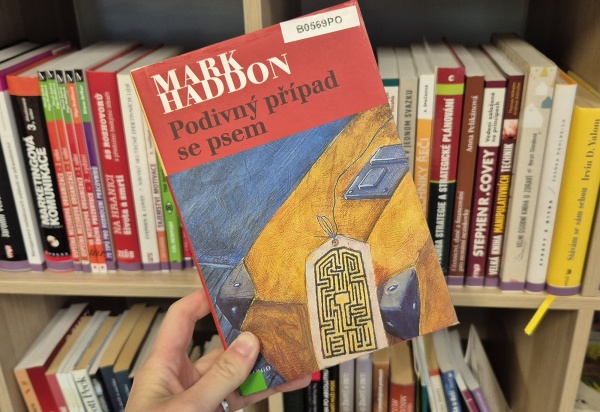 Doporučujeme: Kniha na léto